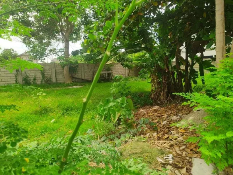 2 lot for sale in Pacific Grand Villas